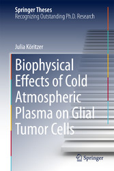 Biophysical Effects of Cold Atmospheric Plasma on Glial Tumor Cells