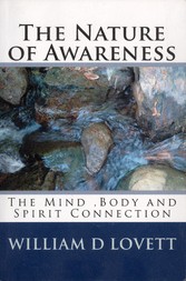 The Nature of Awareness