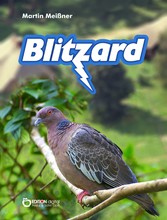 Blitzard