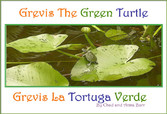 Grevis the Green Turtle