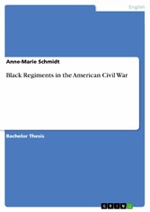 Black Regiments in the American Civil War