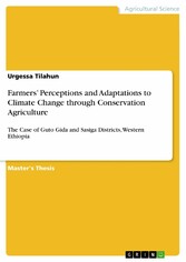 Farmers' Perceptions and Adaptations to Climate Change through Conservation Agriculture