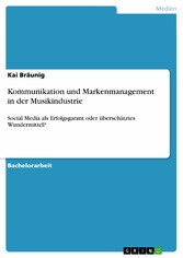 Kommunikation und Markenmanagement in der Musikindustrie