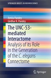 The UNC-53-mediated Interactome