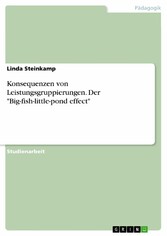 Konsequenzen von Leistungsgruppierungen. Der 'Big-fish-little-pond effect'