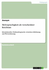 Mehrsprachigkeit als verschenkter Reichtum