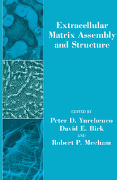 Extracellular Matrix Assembly and Structure