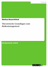 Theoretische Grundlagen zum Risikomanagement