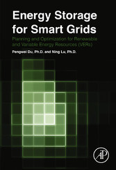 Energy Storage for Smart Grids