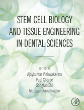 Stem Cell Biology and Tissue Engineering in Dental Sciences