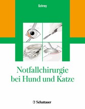 Notfallchirurgie bei Hund und Katze