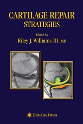 Cartilage Repair Strategies