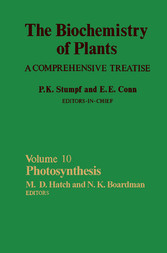 Photosynthesis