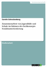 Zusammenarbeit von Jugendhilfe und Schule im Rahmen des Fachkonzepts Sozialraumorientierung