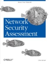 Network Security Assessment