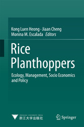 Rice Planthoppers