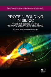 Protein Folding in Silico