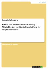 Kredit- und Mezzanine-Finanzierung. Möglichkeiten zur Kapitalbeschaffung für Jungunternehmer