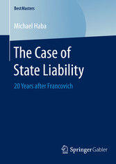 The Case of State Liability