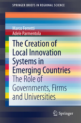 The Creation of Local Innovation Systems in Emerging Countries