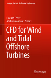 CFD for Wind and Tidal Offshore Turbines