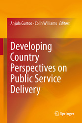 Developing Country Perspectives on Public Service Delivery