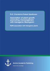 Association of plant growth promoting microorganism with transgenic Blackgram. PGPR association with transgenic plants