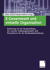 E-Government und virtuelle Organisation