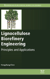 Lignocellulose Biorefinery Engineering