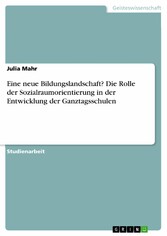 Eine neue Bildungslandschaft? Die Rolle der Sozialraumorientierung in der Entwicklung der Ganztagsschulen