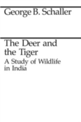 Deer and the Tiger