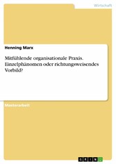 Mitfühlende organisationale Praxis. Einzelphänomen oder richtungsweisendes Vorbild?