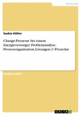 Change-Prozesse bei einem Energieversorger. Problemanalyse, Prozessorganisation, Lösungen, U-Prozedur