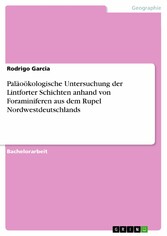 Paläoökologische Untersuchung der Lintforter Schichten anhand von Foraminiferen aus dem Rupel Nordwestdeutschlands