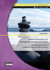 Balanced Scorecard und strategischer Managementprozess: Eine Konzeption für die ambulante Jugendhilfeeinreichtung