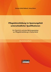 Pflegelehrerbildung im Spannungsfeld unterschiedlicher Qualifikationen: Ein Überblick und eine Meinungsanalyse zur Pflegelehrerbildung in Deutschland