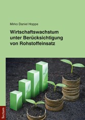 Wirtschaftswachstum unter Berücksichtigung von Rohstoffeinsatz