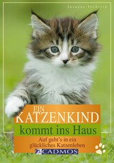 Ein Katzenkind kommt ins Haus