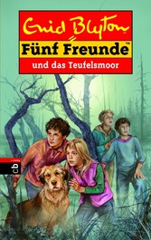 Fünf Freunde und das Teufelsmoor