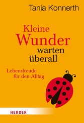 Kleine Wunder warten überall