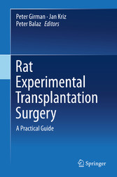 Rat Experimental Transplantation Surgery