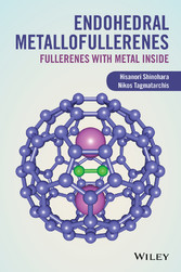 Endohedral Metallofullerenes