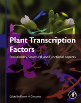 Plant Transcription Factors