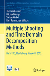 Multiple Shooting and Time Domain Decomposition Methods