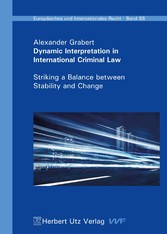 Dynamic Interpretation in International Criminal Law