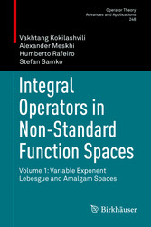 Integral Operators in Non-Standard Function Spaces