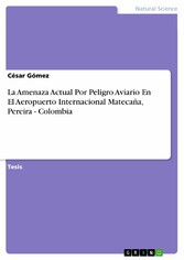 La Amenaza Actual Por Peligro Aviario En El Aeropuerto Internacional Matecaña, Pereira - Colombia