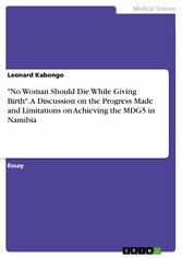 'No Woman Should Die While Giving Birth'. A Discussion on the Progress Made and Limitations on Achieving the MDG5 in Namibia