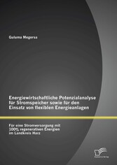 Energiewirtschaftliche Potenzialanalyse für Stromspeicher sowie für den Einsatz von flexiblen Energieanlagen: Für eine Stromversorgung mit 100% regenerativen Energien im Landkreis Harz