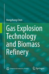 Gas Explosion Technology and Biomass Refinery